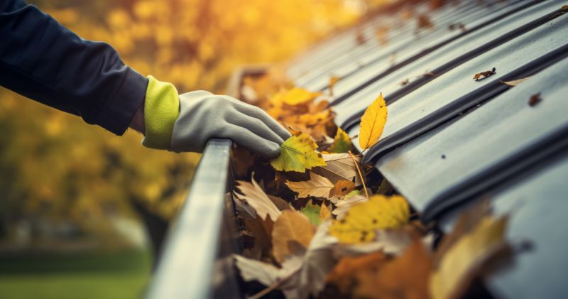 Autumn Maintenance