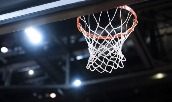 Basketball Net Installation in Crystal Lake