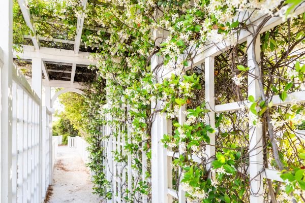 Trellis Repair Service