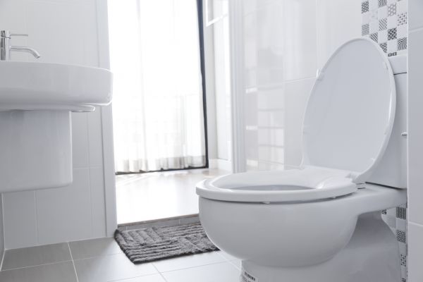 Toilet Seat Installation in Crystal Lake