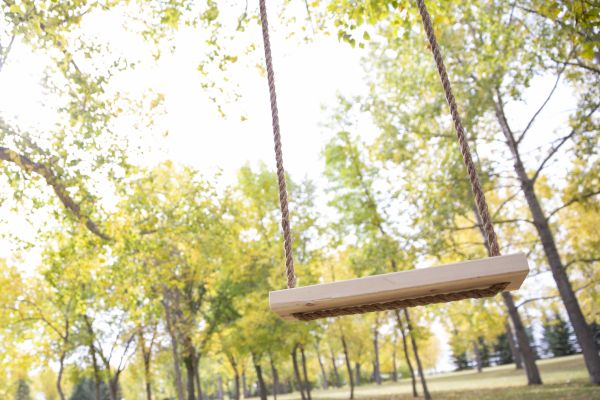 Swing Installation in Crystal Lake