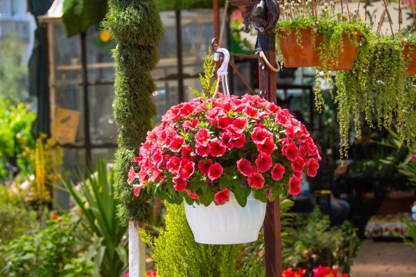Hanging Planter Installation in Crystal Lake