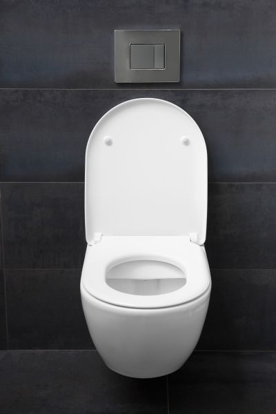 Toilet Lid Installation in Crystal Lake