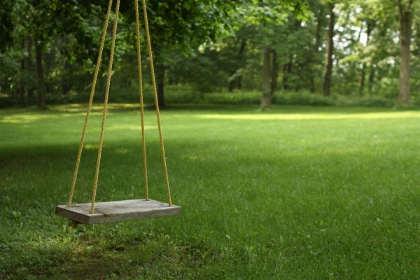 Rope Swing Installation in Crystal Lake