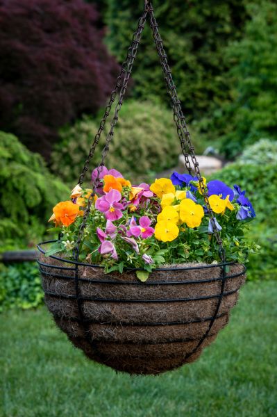 Hanging Basket Installation in Crystal Lake
