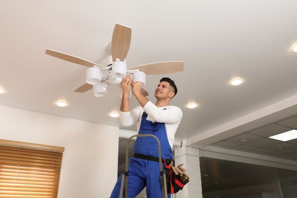 Ceiling Fan Bulb Replacement in Crystal Lake