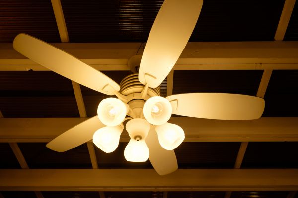 Fan Lighting Replacement